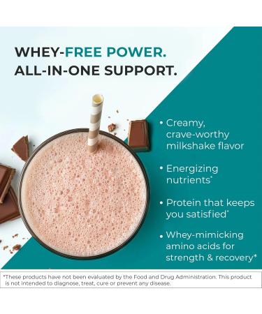 Reignite Wellness by JJ Virgin | Chocolate Paleo-Inspired All-in-One Shake | Gluten Free + Dairy Free Protein Powder | Contains 20G of Beef Protein with Vitamins, Minerals, Amino Acids | 30 Servings Chocolate 2.4 Pound (Pac  - Buy Online on GoSupps.com