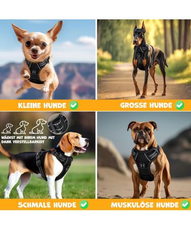 Lovpet Dog Harness for Small Dogs & Puppies | No-Choke Breathable & Reflective | Adjustable No-Pull Design | Soft & Comfortable | Includes Bag Rolls - Buy Online on GoSupps.com