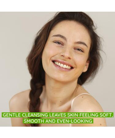 Aveeno Clear Complexion Foaming Facial Cleanser with Salicylic Acid - Pack of 3 | For Acne-Prone Skin | Sulfate-Free & Hypoallergenic - Buy Online on GoSupps.com