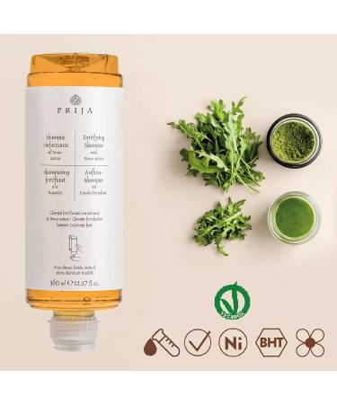  sarcia.eu Prija Regenerating Shampoo for Nutrient Rich Hair with Vegan Arugula 360 ml (Pack of 6) - Buy Online on GoSupps.com