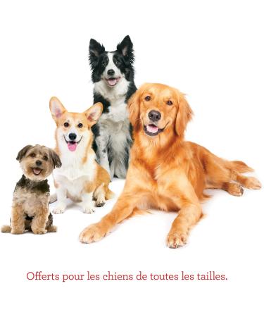 Milk-Bone Flavour Snacks Dog Biscuits Medium Sized Dog Treats Assorted Flavours 2kg Boxes (Pack of 6) Medium dog 2Kg (Pack of 6) - Buy Online on GoSupps.com