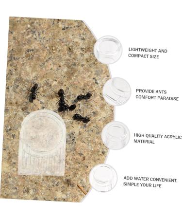 VILLCASE 4 Pcs Ant Water Feeder Mini Water Dispenser Ant Drinking Tools Ant Water Drinking Bowl Pet Ant Nest 4x4cmx2pcs Transparent Colorx2pcs - Buy Online on GoSupps.com
