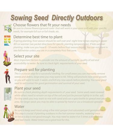 Outsidepride Milk Thistle: Mediterranean Ornamental Herb Plant - 200 Seeds - Buy Online on GoSupps.com