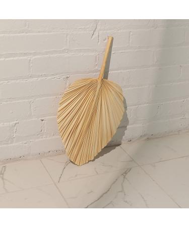 Dried Palm Leaves - Large 18in x 10in (4pcs) - Bleached | Natural Home Decor - Buy Online on GoSupps.com