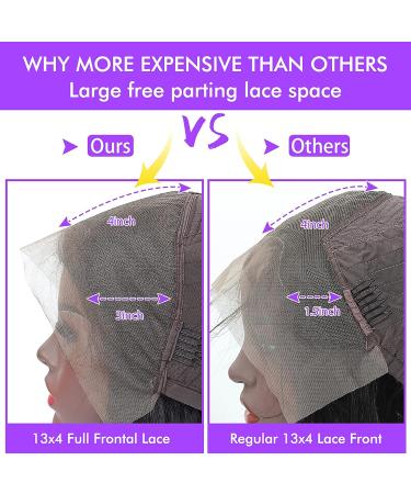 FASHION PLUS 18 Inch Loose Wave HD Lace Front Wig for Black Women - 180 Density Pre Plucked with Baby Hair - Wet and Wavy Human Hair Wig - Buy Online on GoSupps.com