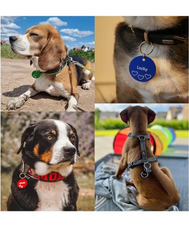 Personalized Dual-Sided Pet Tags | Unique Branding for Dogs & Cats | 30mm & 35mm Blue Engraved Tags - Buy Online on GoSupps.com