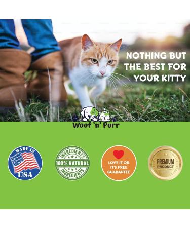 Cat Constipation Relief - May Help to Reduce Constipation & Blocked Bowels Improve Bowel Movement & Much More - Constipation Relief for Cats - Cat Laxative - 1 fl oz - Chicken Flavor (2) - Buy Online on GoSupps.com