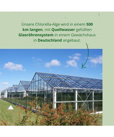 Chlorella Tablets from Germany | Pure Raw Vegan Chlorella Algae - Rich in Vitamin B12 Iron & Chlorophyll | 3g - Pureeraw 3G Chlorella Troundlings - Buy Online on GoSupps.com