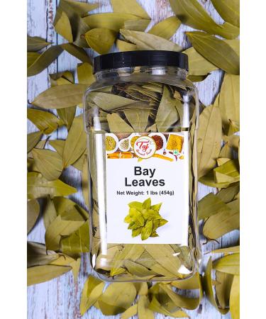 Taj Indian Bay Leaves (Tej Patta) - 16oz Jar - Authentic and Fresh - Buy Online on GoSupps.com