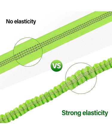 Adjustable Dog Seat Belt for Car - Green Dog Safety Harness | International Shipping - Buy Online on GoSupps.com