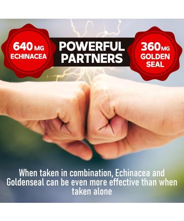 1000mg Echinacea Goldenseal Capsules - Support Immune System, Well-Being & Overal Health - 60 Veggie Capsules - Non-GMO, Gluten-Free 60 Count (Pack of 1) - Buy Online on GoSupps.com
