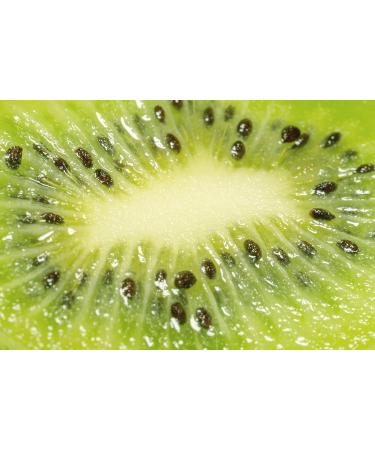 Dr Joe Lab Kiwi Seed Oil 16 oz Pure Natural Cold Pressed Unrefined Extra Virgin Kiwi Oil - for Hair Skin Body Nail and Beard - Moisturizing Soothing Hydrating & Nourishing - Buy Online on GoSupps.com