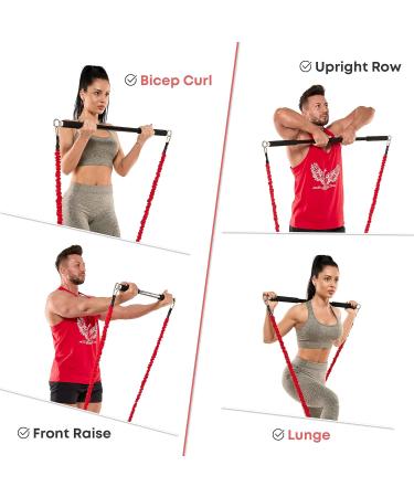 Resistance Band Bar for Fitness | Adjustable Workout Bar for Squats Biceps Triceps & More | Durable Portable Steel Pilates Bar - Buy Online on GoSupps.com