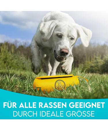 Dog is K nig Feed Bag for Dogs - Dummy for Training All Breeds - Includes Treats & Training Book - Sun Yellow Feed Dummy - Buy Online on GoSupps.com