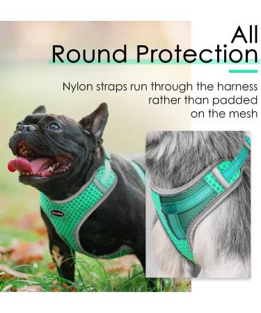 Thinkpet No-Pull Dog Harness & Leash Set - Breathable Adjustable Safety Harness for Small Medium & Large Dogs - Padded Reflective Green (1 Pack) - Buy Online on GoSupps.com