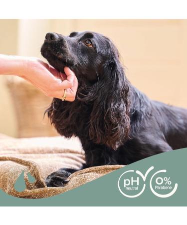 Beaphar Shampoo for Black Fur - Vegan pH-Neutral Sage & Aloe Vera - Skin-Friendly 0% Parabens & Silicone - 250ml - Buy Online on GoSupps.com
