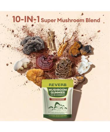 Mushroom Gummies 16-In-1 Mushroom Blend With Ashwagandha Gummies For Brain Health Cognitive Memory & Focus Energy 0g Added Sugar Mushroom Supplement Lions Mane Reishi Cordyceps Turkey Tail Chaga (60) - Buy Online on GoSupps.com