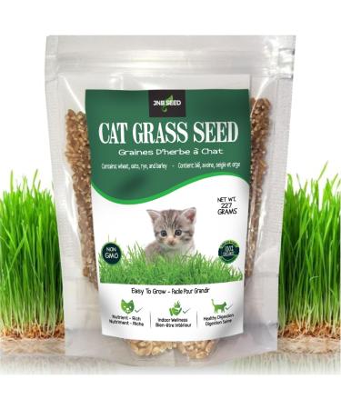 Organic & Non-GMO Pet Grass Seed Blend with Rye Wheat Barley Oat Product of Canada ((1/2 Pound (8oz) (227 Grams) Bring The Outdoors to Your Indoor Pets!