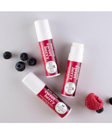 Dionis Goat Milk Lip Balm Sweet Berry 0.28oz (Pack of 6) - Buy Online on GoSupps.com