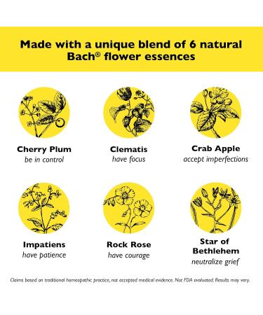 Bach Rescue Cream, Hydrating Skincare for Hands, Body and Face, Shea Butter, Homeopathic Stress Relief Flower Essences, Fragrance-Free, Paraben-Free, 3 Pack, 30g Ea 30g (Pack of 3) - Buy Online on GoSupps.com