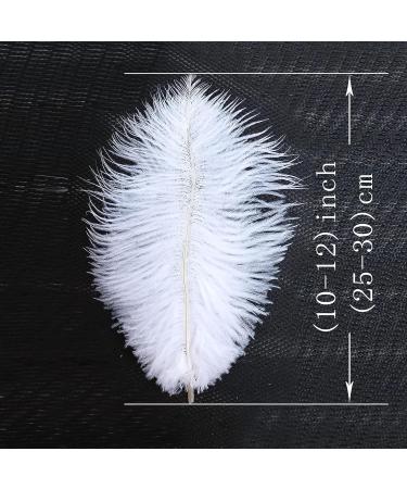 Natural White Ostrich Feathers 10-12inch - Pack of 12 for Wedding & Party Centerpieces - Easter Carnival Decor & Flower Arrangement - Home Decorations - White Feathers - Buy Online on GoSupps.com