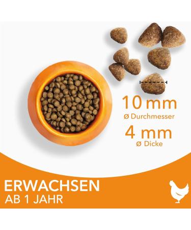 IAMS Dry Cat Food with Chicken for Cats Aged 1-6 Years | 10 kg - Premium Nutrition for Healthy Cats - Buy Online on GoSupps.com