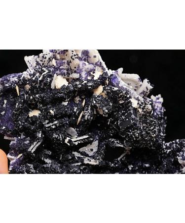 Natural Crystal Rough 119g Natural Purple Fluorite Quartz Specimen/Guizhou - Buy Online on GoSupps.com