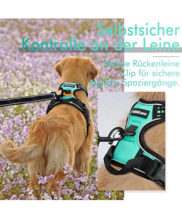 Rabbitgoo Medium Dog Harness - No Pull Adjustable Breathable Control Harness for Large Dogs - Reflex Stripes Safe Guide in Mint Green (1 Pack) - Buy Online on GoSupps.com