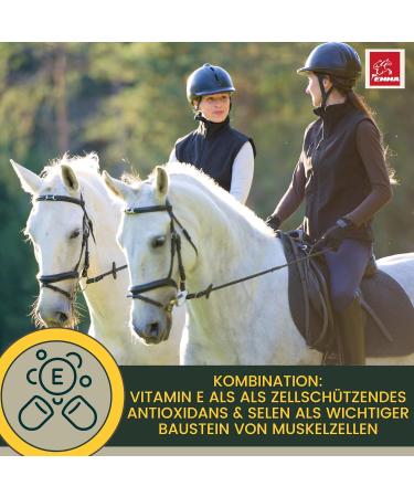 Selenium Vitamin E Lysine Liqud + Pate for Horses Maintain Healthy Musculature Vitamin E-Selenium Lysine Amino Energy for Physical Condition Muscle Performance Horse 30 ml 1 L - Buy Online on GoSupps.com