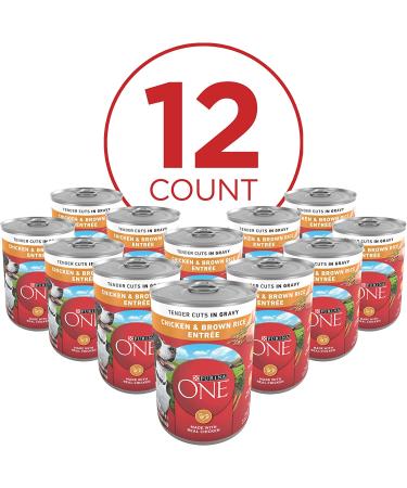 Purina ONE Dog Food 13oz (Pack of 12) Chicken & Brown Rice - Premium Nutrition for Dogs - Buy Online on GoSupps.com