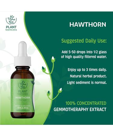 Plant Stem Cells Gemmotherapy Embryonic Hawthorn Buds | Supports Cardiovascular & Circulatory Health Blood Pressure & Healthy Cholesterol Levels for Men & Women* - Buy Online on GoSupps.com