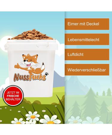 Buy Aprico Bitter Apricot Kernels 1kg - 100% Natural B17 Seeds | Extra High Bitter Proportion | International Shipping - Buy Online on GoSupps.com