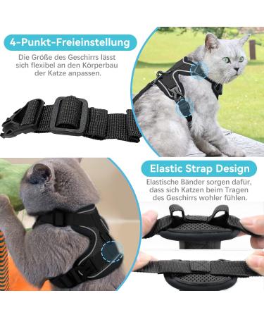 Adjustable Cat Dishes for Cats & Kittens - Black - Optimal Feeding Solution for Dogs & Puppies - Buy Online on GoSupps.com