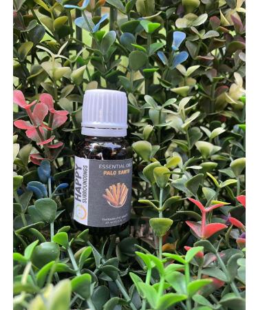 Palo Santo Essential Oil -100% Pure and Natural Oil for Natural for Aromatherapy Massage & Skin Care Oil (100ml)