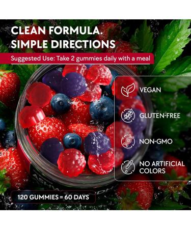 Ashwagandha Gummies 120 Count - 2000 MG Ashwagandha Supplements with L-Theanine GABA Magnesium Zinc & Vitamin D3 Sugar-Free Vegan Non-GMO Natural Support for Balance - Buy Online on GoSupps.com