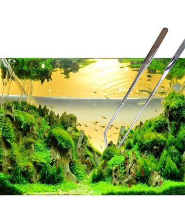 Wzong Pack of 2 Aquarium Tweezers Extra Long Stainless Steel Straight and Curved Tweezers Long Feeding Pliers for Aquascape Tools for Aquarium Systems 10.6 Inch (27 cm) Silver - Buy Online on GoSupps.com