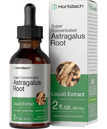 Astragalus Root Extract | 2 oz | Alcohol Free | Super Concentrated | Vegetarian, Non-GMO, Gluten Free Tincture | by Horbaach - Buy Online on GoSupps.com