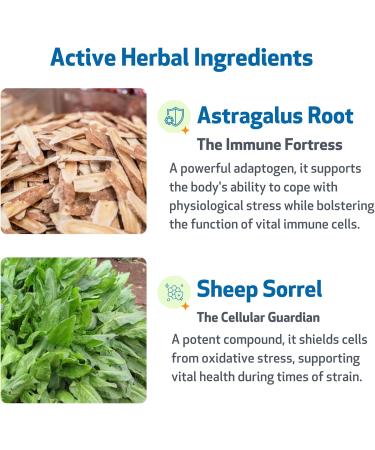 Pet Wellbeing Life Gold for Dogs - Supports Detoxification & Immune System Health with Astragalus & Sheep Sorrel - NASC Certified & Vet-Formulated - 4 oz Liquid Formula 4 Fl Oz - Buy Online on GoSupps.com
