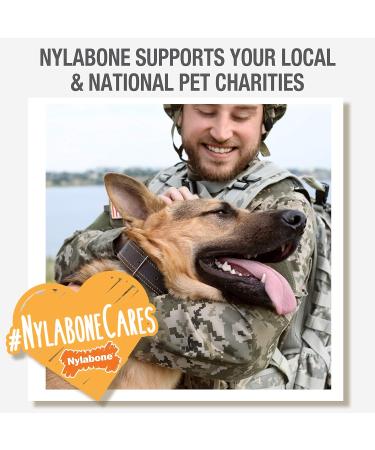 Buy Nylabone Flavor Beef and Cheese Bone - Small Brown & Yellow | International Shipping Available - Buy Online on GoSupps.com