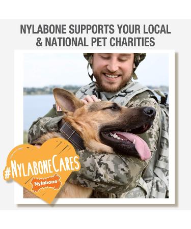 Durable Nylabone Dura Chew Beef Jerky - Power Chew Bones for Heavy Chewers | Medium for Dogs up to 16 kg - Multi-Colored - Buy Online on GoSupps.com