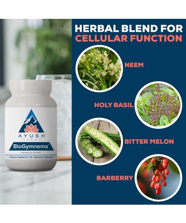 Ayush Herbs BioGymnema - Metabolic Vitamin & Herb Blend Metabolic Health Supplement for Women & Men with Biotin Berberine Bitter Melon & Gymnema Nutrient Support - 90 Vegetarian Capsules (1 Count) - Buy Online on GoSupps.com