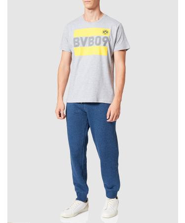 Buy Borussia Dortmund Unisex BVB T-Shirt in L Grey | International Shipping Available! - Buy Online on GoSupps.com
