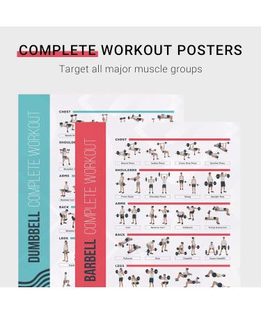 Buy PosterMate FitMate Exercise Poster - Workout Routine with Weights | Home Gym Decoration Guide 41.5 x 63.5 cm | International Shipping Available - Buy Online on GoSupps.com