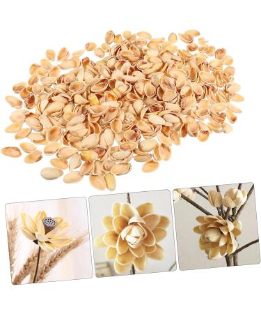 NUOBESTY 1 Pistachio Shell Decorative Painting Diy Materials Kids Crafts Material Child Supplies Artificial As Shown 2X1.2CM - Buy Online on GoSupps.com