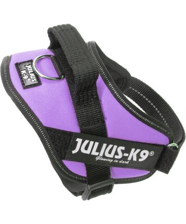 Julius-K9 Baby Boys IDC Powerharness Dog Harness Purple XS/Mini-Mini | Best International Shipping - Buy Online on GoSupps.com