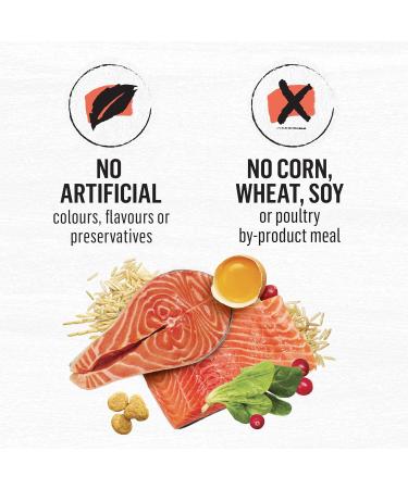 Beyond Simply Natural Dry Cat Food Salmon & Whole Brown Rice - 2.72 kg Bag 2.72 kg (Pack of 1) - Buy Online on GoSupps.com