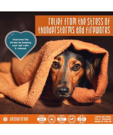 AMZ Evergreen Hemp Oil for Dogs UK | Vet Approved Calming & Anxiety Relief | Health Supplement for Pets | Hip & Joint Support | Omega 3 6 9 - 30ml - Buy Online on GoSupps.com