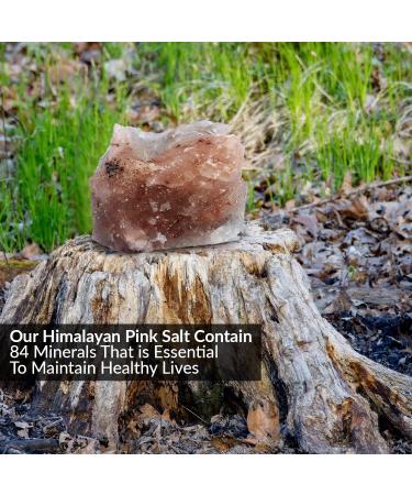 Himalayan Nature Deer Attractant Salt Mineral Rock - 100% Natural Licking Rock - Buy Online on GoSupps.com
