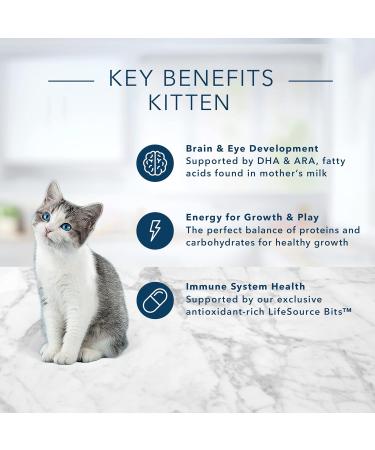 Blue Buffalo Healthy Growth Natural Kitten Dry Cat Food Chicken And Brown Rice 3.1kg bag Medium Bag Kiteen - Buy Online on GoSupps.com