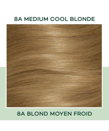 Clairol Natural Instincts 8A Medium Cool Blonde Demi-Permanent Hair Dye - 5.85 Fl Oz - Buy Online on GoSupps.com